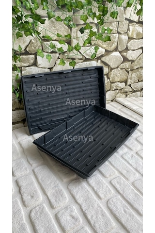 Viyol Tepsisi 10 Adet Derinlik 5 Cm Viyol Altlığı Fide Tepsisi