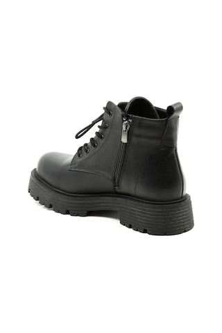 Dexter Tp21531-61 Erkek Bot Çok Renkli