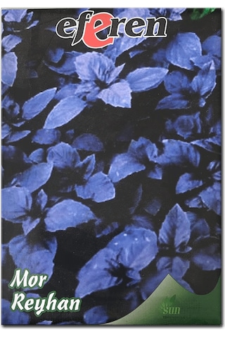 Bykurt Sunagri Mor Reyhan Tohumu - Aromatik Mor Renkli Bahçeler İçin Çekici Ve Lezzetli Mor Reyhan Tohumu