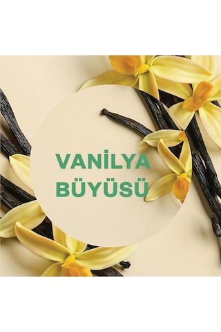 Air Wick Elektrikli Oda Kokusu Yedek Şişe Vanilya Esansiyel Yağlar İçerir 6 x 19 ML