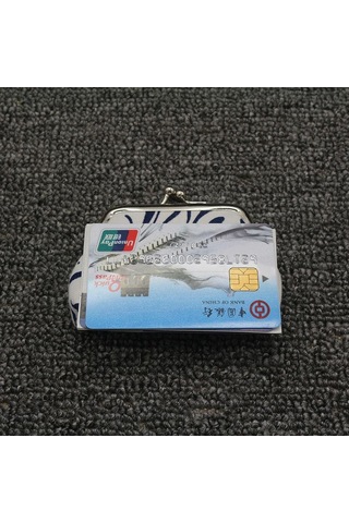 Mavi Bozuk Para Cüzdanı Vintage Seladonlar Bozuk Para Çantası Tuval Mini Küçük Çanta Kadın Çanta Mavi