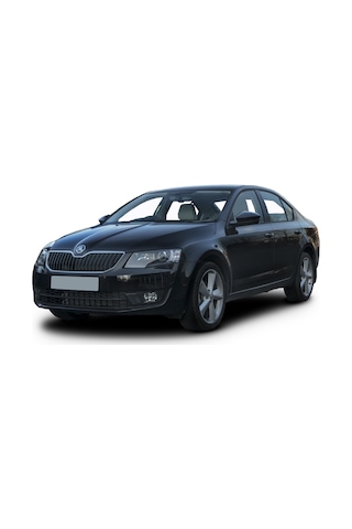Günaks Skoda Octavia 2'li Set Oto Paçalık. Çamurluk. Tozluk