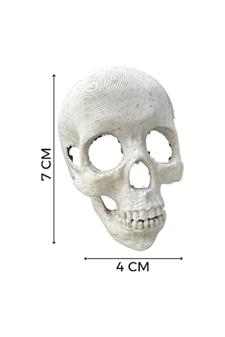 Sıra Dışı Kafatası Dekoru - Akvaryum Ve Koleksiyon İçin Özel Tasarım Skull-dec, One Size