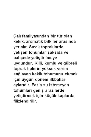 AGRodal Tarım Ata Tohumu Yöresel Kekik Tohumu 1000 Adet Tohum