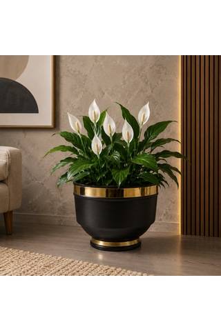 Metal Saksı Mat Siyah Ve Altın Detaylı İç Mekan Kullanımı 19x26cm No:24 -