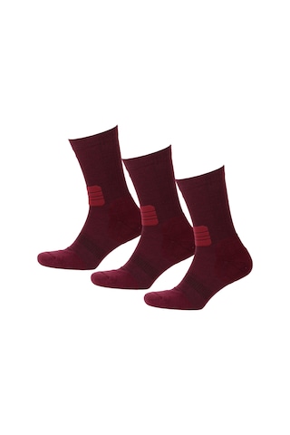 Thermoform Active Çorap Unisex 3'lü Paket Bordo Renkli