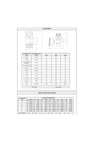 Case Emniyet Ventili 3/4'' - 10 Bar 07-20101