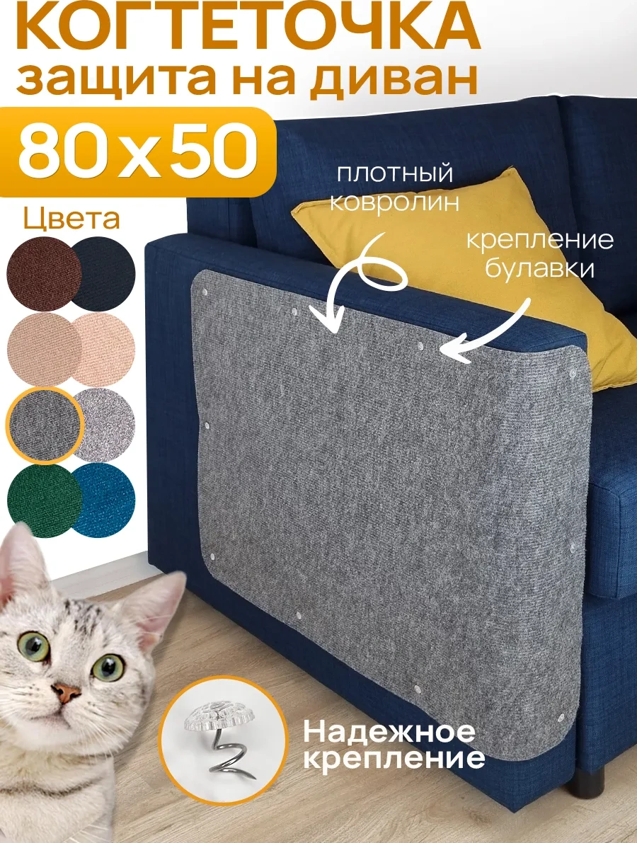 Aseliadia Kedi Kınağı - 80x50 Cm Kanepe Tipi 191549420