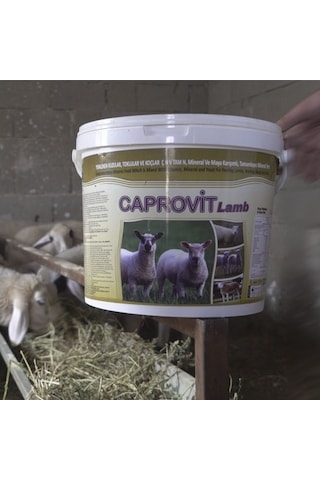 Royal İlaç Royal Caprovit Lamb 25 Kg