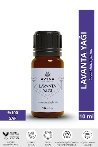 Reyo 6 Adet Çamaşır Yün Kurutma Topu + %100 Saf Lavanta Esansı Krem
