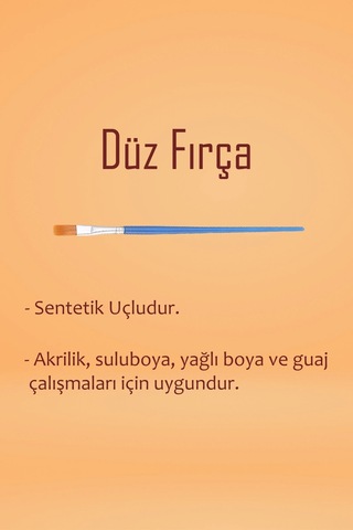 Beyaz Seramik Hamuru 6 Kg Kil Ebeşuar Seti 6x15 Ml Akrilik Set 100 Ml Vernik Ahşap Merdane Zımpara Çok Renkli