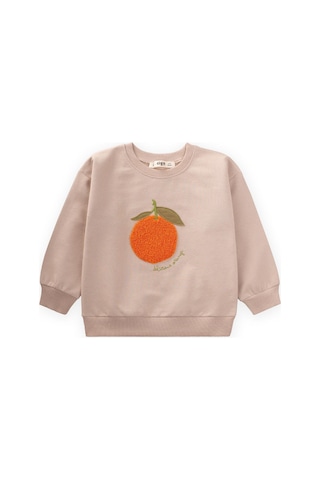 Süzene Nakışlı Sweatshirt 1-7 Yaş Bej Bej