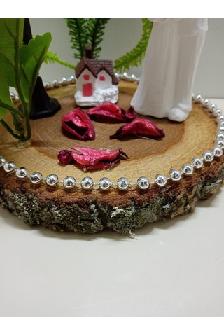 Sarılan Çift Temalı Kütük Teraryum