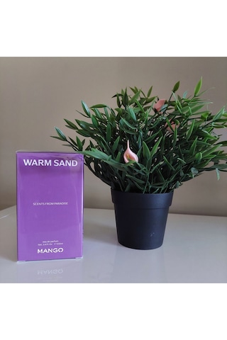 Warm Sand Edp 100 Ml Kadın Parfümü Narenciye