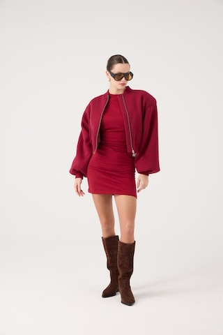 Holly Lolly Crop Kesim Vatkalı Parker Bomber Ceket Bordo