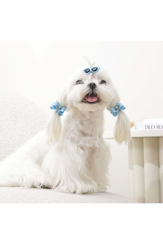 M-pets Glam Gözlük Ve Fiyonklu Kedi Ve Köpekler İçin Aksesuar Toka Mavi Mavi