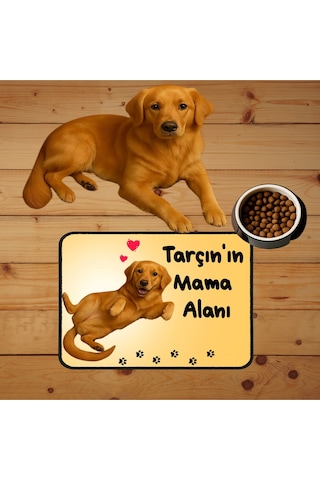 Özel Fotoğraf Ve İsimli Kedi Köpek Mama Paspası Ve Mama Önü Tuvalet Önü Paspas 40x60cm Çok Renkli