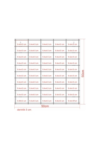 Woodbu 50 Araçlık Mdf Akçaağaç Özel İsimli Hobi Araba Rafı