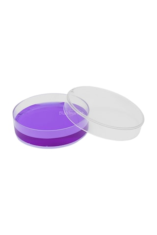 Petri Kutusu Kabı 60 MM Plastik Gamma Steril 10 Adet