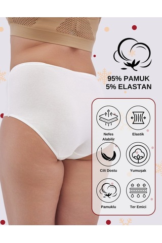 Alya Underwear Kadın Büyük Beden Külot Battal Full Brief, Yüksek Bel 5xl, 6xl, 7xl 5 Farklı Renk 1 Pakette Çok Renkli P41