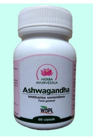 Ashwa/gandha 500 Mg 60 Kapsül Bitkisel Adaptogen Stress Ve Zihinsel Destek