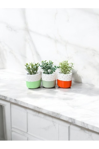 Renkli Saksı Seti Sukulent Kaktüs Dekoratif Eşya- Ev Dekorasyon - Saksı Seti 5
