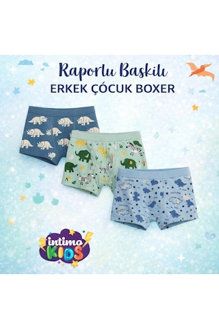 Lumina İntimo Erkek Çocuk Raporlu Desenli Boxer-renkli-5.6 Yaş - 9041840562458
