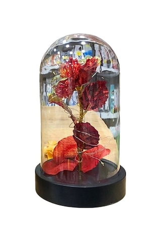 Storeşahin Küçük Işıklı Fanus Shn0720