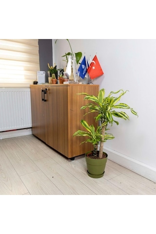 Poliwork Tabaklı Plastik Saksı 2,2 Lt 165 155 Mm