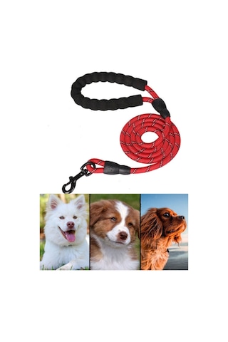 Mucit Home Köpek Gezdirme Tasma Kayışı 40 Kg'a Kadar Köpekler Için Tasma Halatı Gezdirme Ipi 150 Cm Çok Renkli