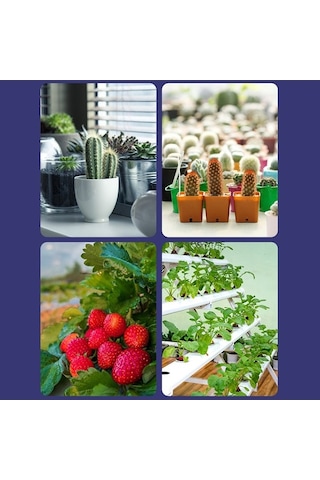 Reedark İç Mekan Bitkiler İçin Led Grow Ampul Kırmızı Mavi Beyaz