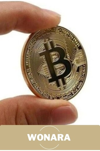Özel Kutulu Altın Rengi Bitcoin Hatıra Parası Kripto Koleksiyonluk Hediyelik Madeni Para 2 Adet
