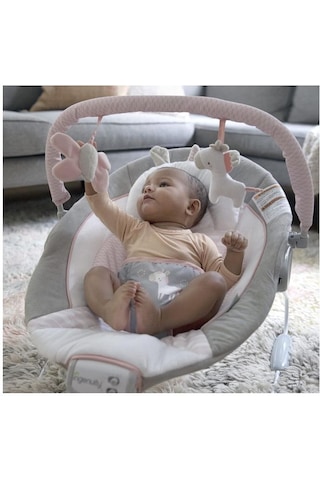 Ingenuity Titreşimli, Oyuncak Barlı Ve Sesli, 0-6 Ay Ana Kucağı Pink