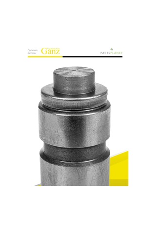 Ganz Ford Fiesta, Escort, Chery Amulet İçin Su Emici Valf 271179666