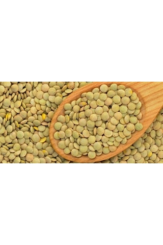 Yeşil Mercimek 25 KG