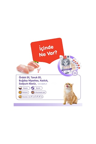 Üriner Sistem Kedi Ödül Maması Ördek & Tavuk Kedi Ödül Kreması 5x14gr