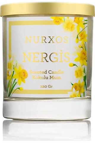 Nurxos Nergis Kokulu Mumlar 220G 9653
