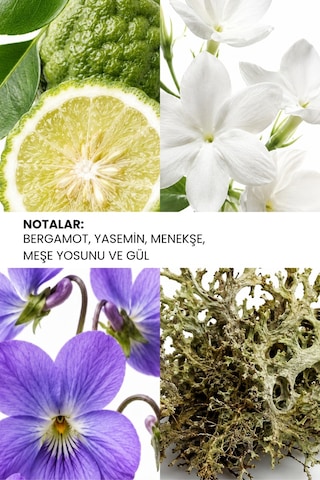 Ixora K156 Effect Kadın Parfüm EDP 100 ML