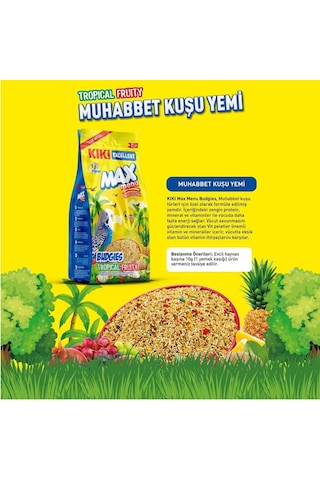 Kıkı Excellent Kuş Max Menu Tropikal Meyveli Muhabbet Kuşu Yemi 500 Gr