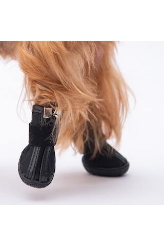 Pawstar Siyah Köpek Ayakkabısı