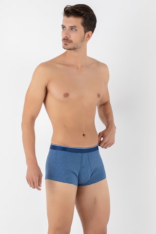 Doremi Dennis Cotton Erkek Boxer Mavi