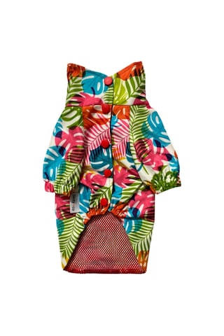 Gedyco Colorful Palm Fileli Küçük Irk Köpek Yağmurluğu