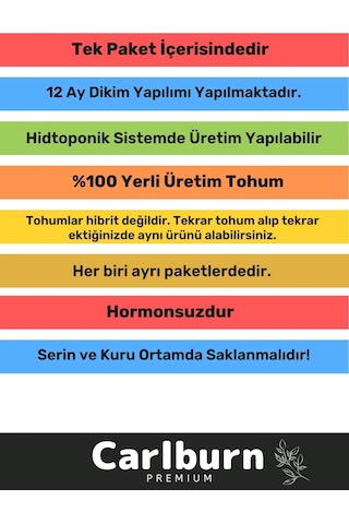 12 Ay Ekim Yapılabilen 3.000 Tohum Ayrı Ayrı Paketli 10 Çeşit Yeşillik Sürdürülebilir Tohum Paketi