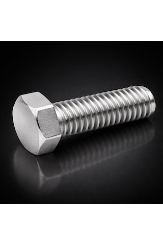 Dyzer Inox Akb Cıvata Dın933 A4-316 M6x10 10lu Paket