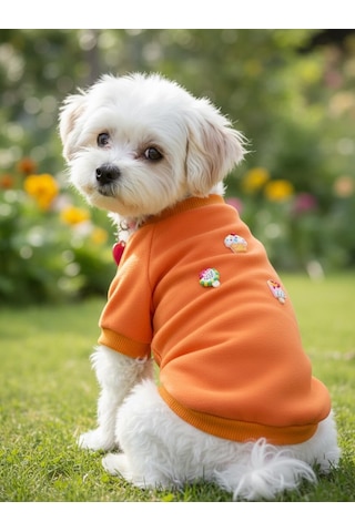 Ice Cream And Cupcakes Köpekler İçin Polar Sweatshirt