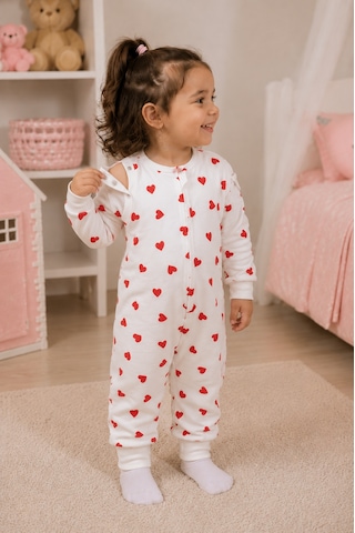 Babyhola Çıkarılabilir Kollu Fermuarlı Uyku Tulumu 1-8 Yaş Pazen 4 Mevsim 2701 Kırmızı