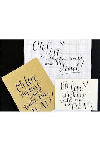 Zebra G Nib Copperplate Divit Uç -tarama Uç