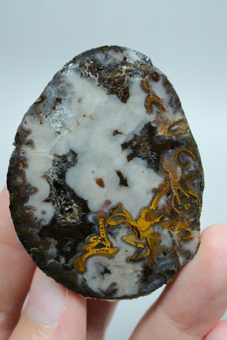 Plume Black Sea Agate Beyaz, Derin Kahverengi Ve Altın Turuncu Agate
