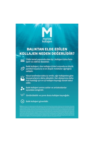 Zade Vital Marine Collagen Hyaluronic Acid Bitkisel Sert 40'Lı