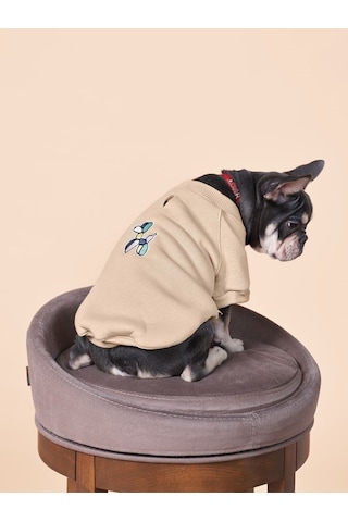 Balloon Küçük ve Orta Irk Köpekler İçin Köpek Sweatshirt